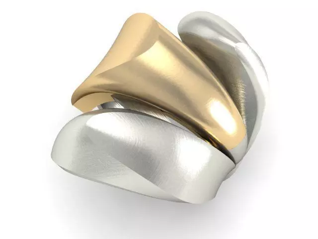 20 Ring Fantasy 3dm 3D print model_26