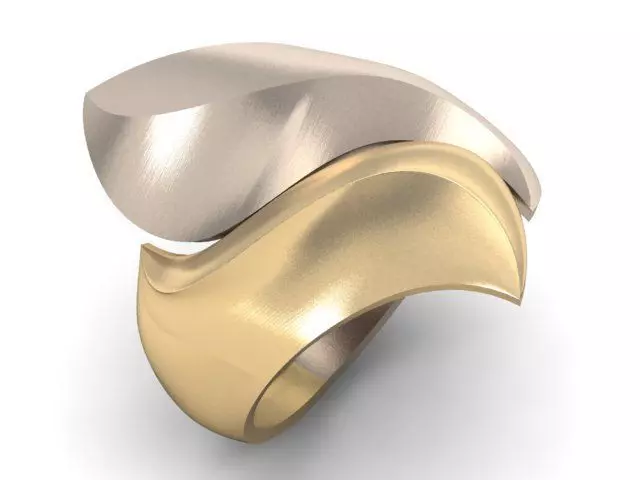 20 Ring Fantasy 3dm 3D print model_3