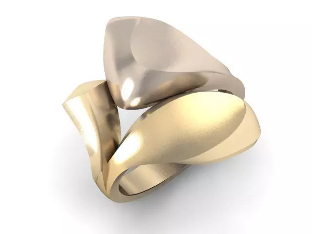 20 Ring Fantasy 3dm 3D print model_37