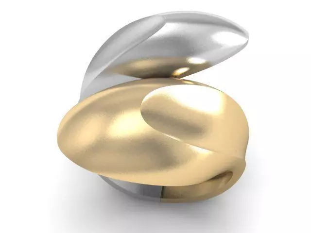 20 Ring Fantasy 3dm 3D print model_30