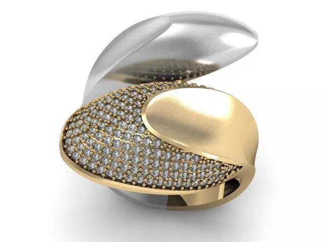 20 Ring Fantasy 3dm 3D print model_33