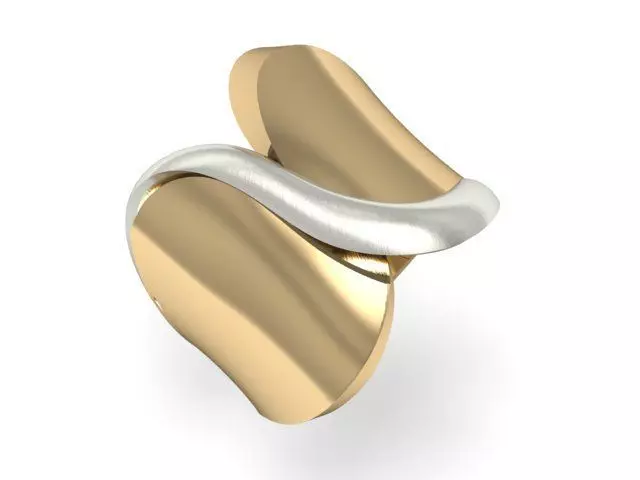 20 Ring Fantasy 3dm 3D print model_2