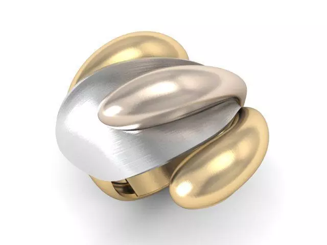 20 Ring Fantasy 3dm 3D print model_32