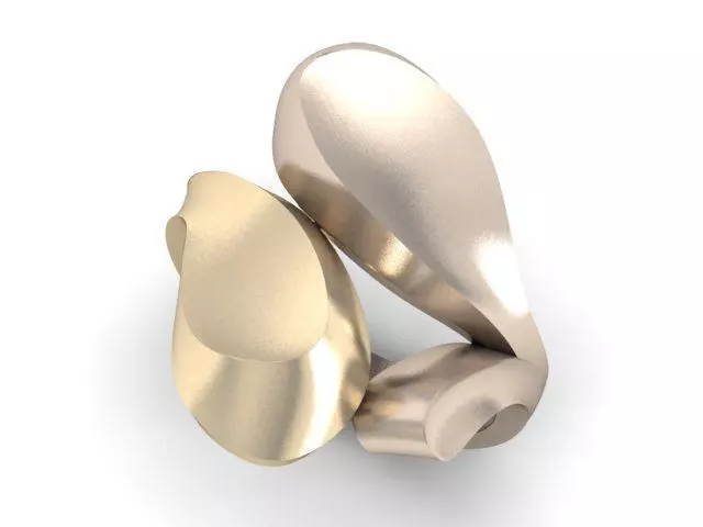 20 Ring Fantasy 3dm 3D print model_36