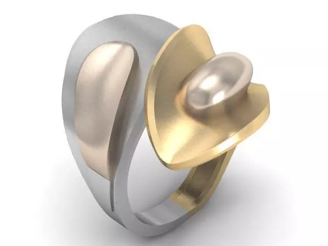 20 Ring Fantasy 3dm 3D print model_23