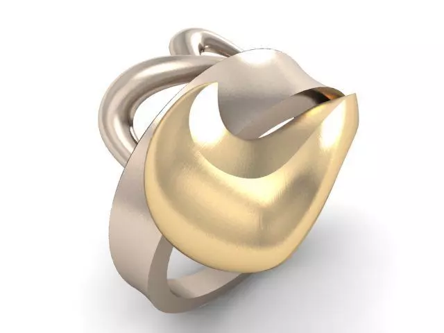 20 Ring Fantasy 3dm 3D print model_10