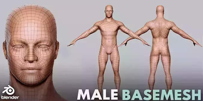 Male BaseMesh Topology Uv Map