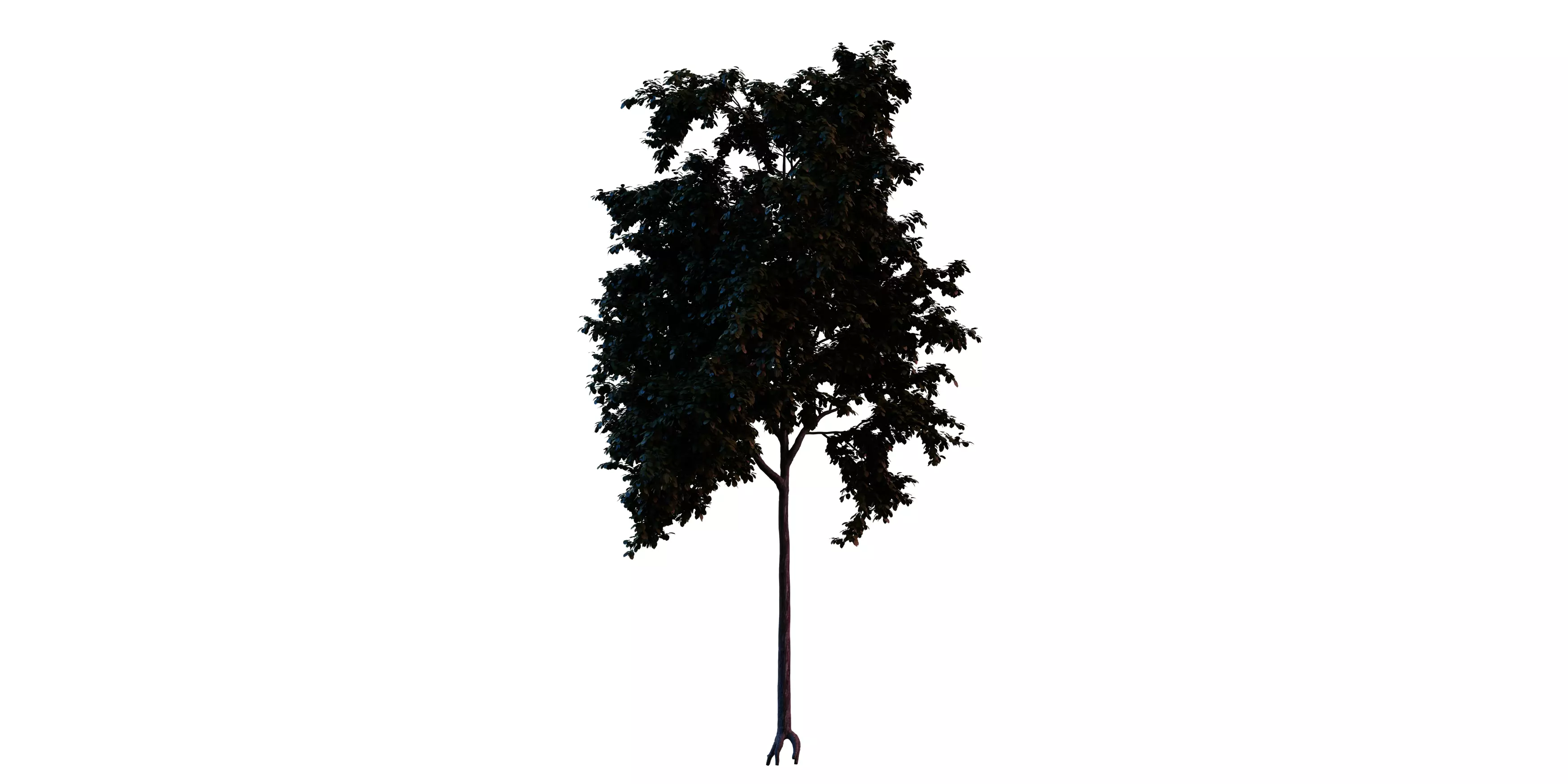 Generic Tree 12 Free 3D model_1