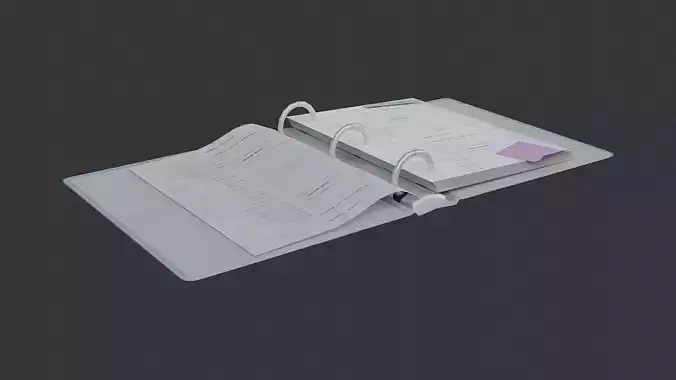 Office binder with rings and papers