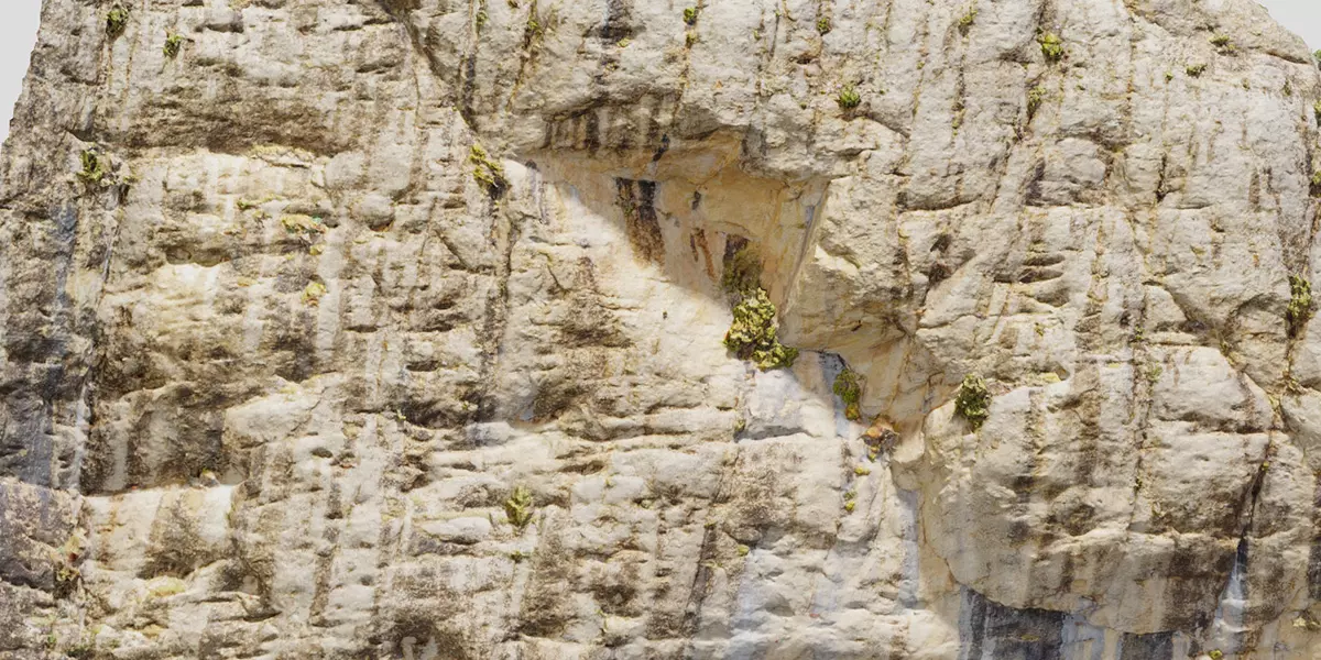 Big Cliff Rock Scan Free low-poly 3D model_3