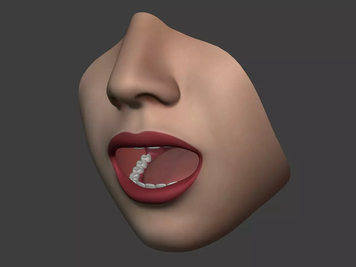 Lips Mouth Teeth Anatomy Rigged Free 3D model_2