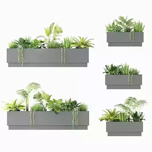Wall Potted Plant Collection 3D model