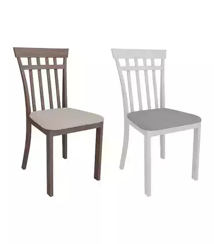 Modern Wooden Dining Chair  Light and Dark Wood Variant