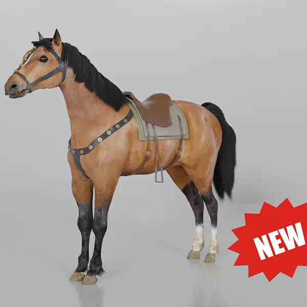 The Horse Free low-poly 3D model_2