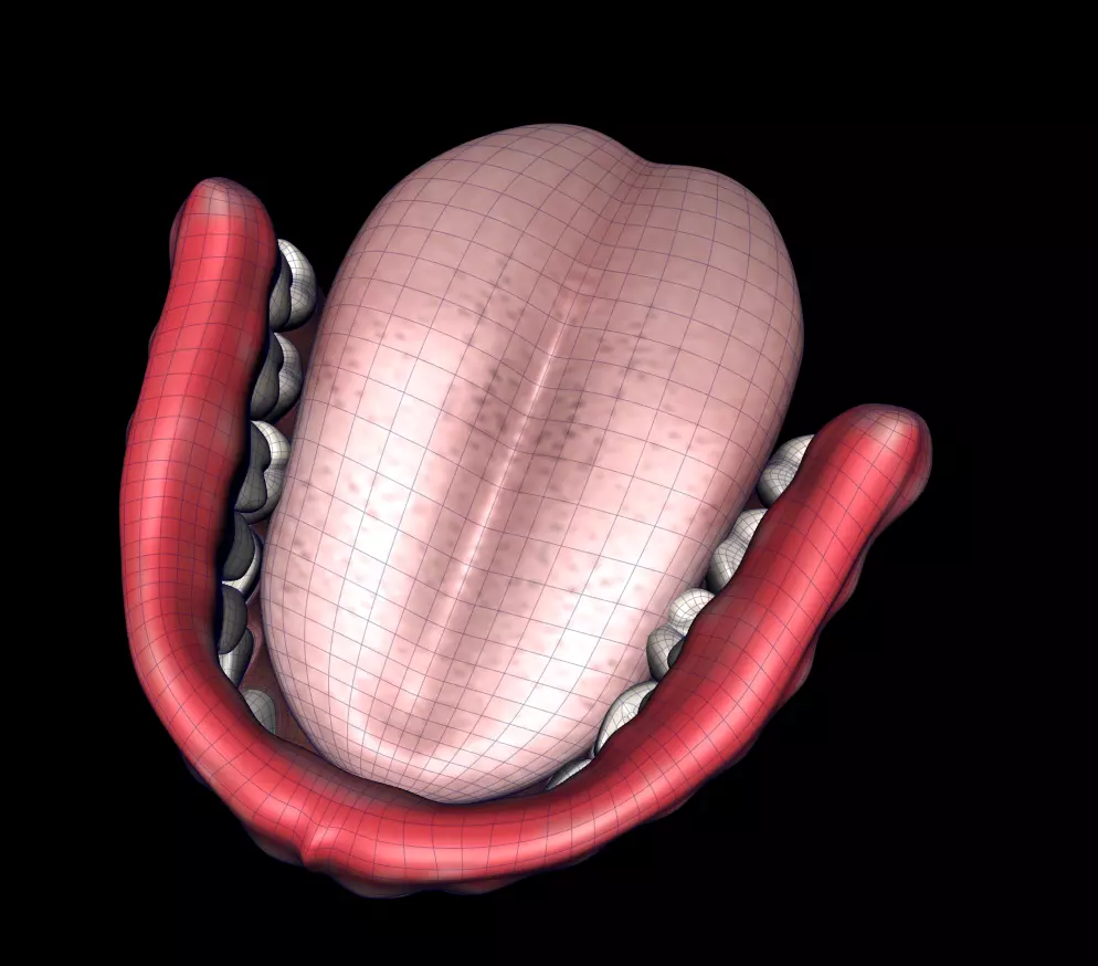 Cavity Low-poly 3D model_3