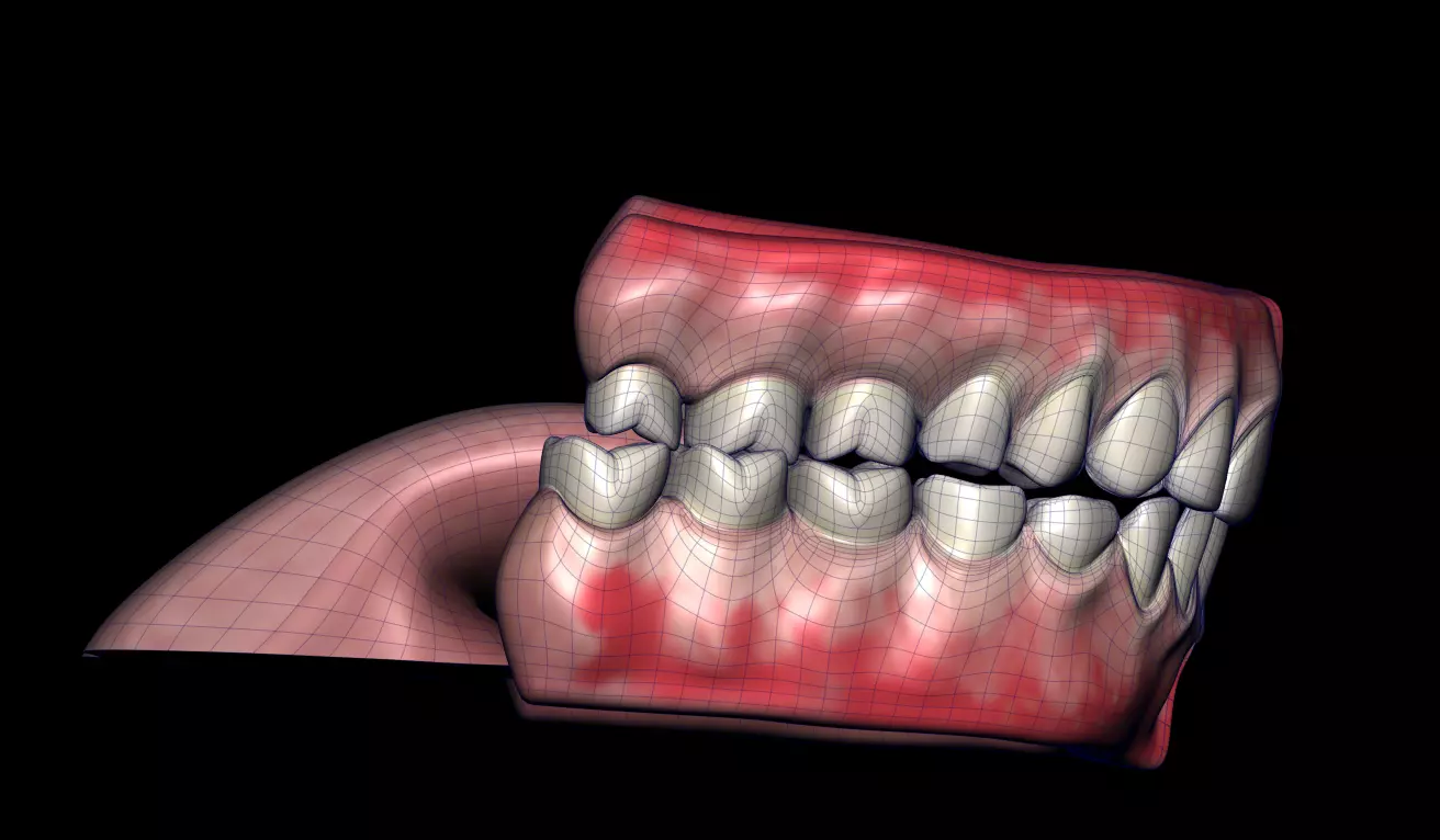 Cavity Low-poly 3D model_4