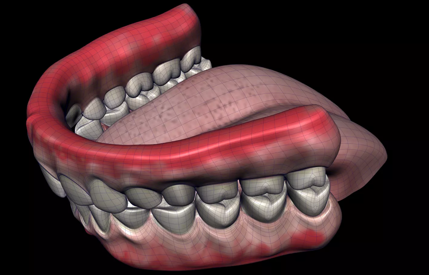 Cavity Low-poly 3D model_6