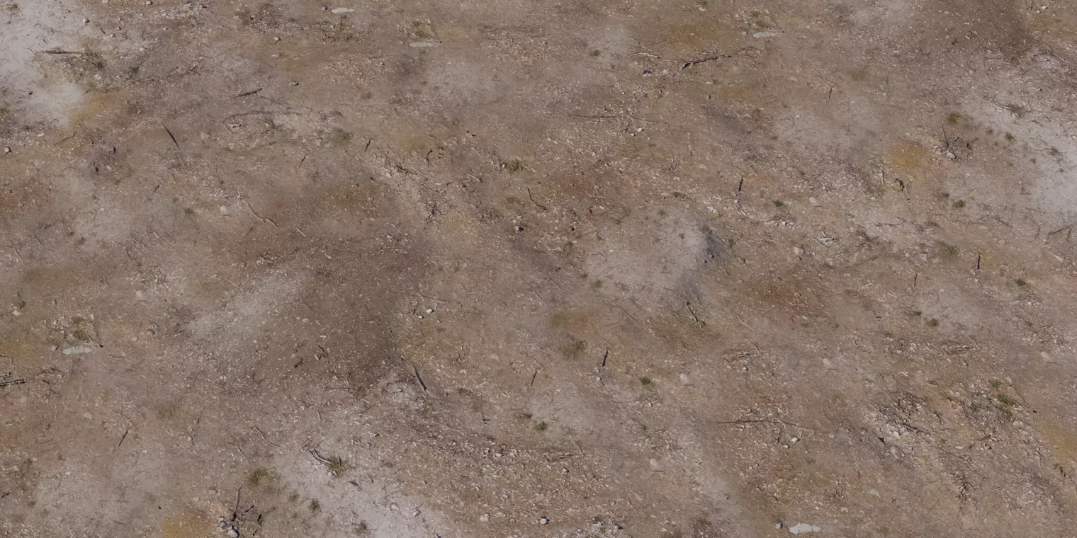 Dry Scrubby Dirt Texture  Texture_1