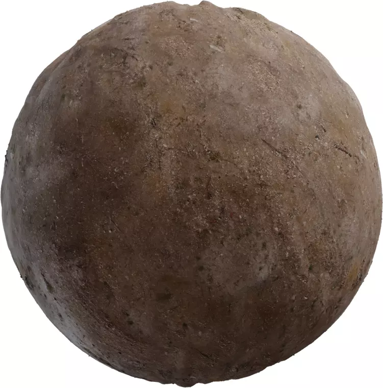 Dry Scrubby Dirt Texture  Texture_0