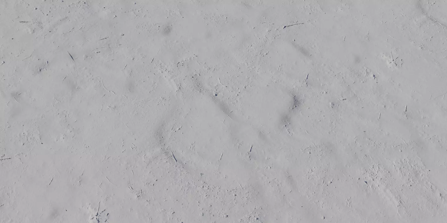 Dry Scrubby Dirt Texture  Texture_2