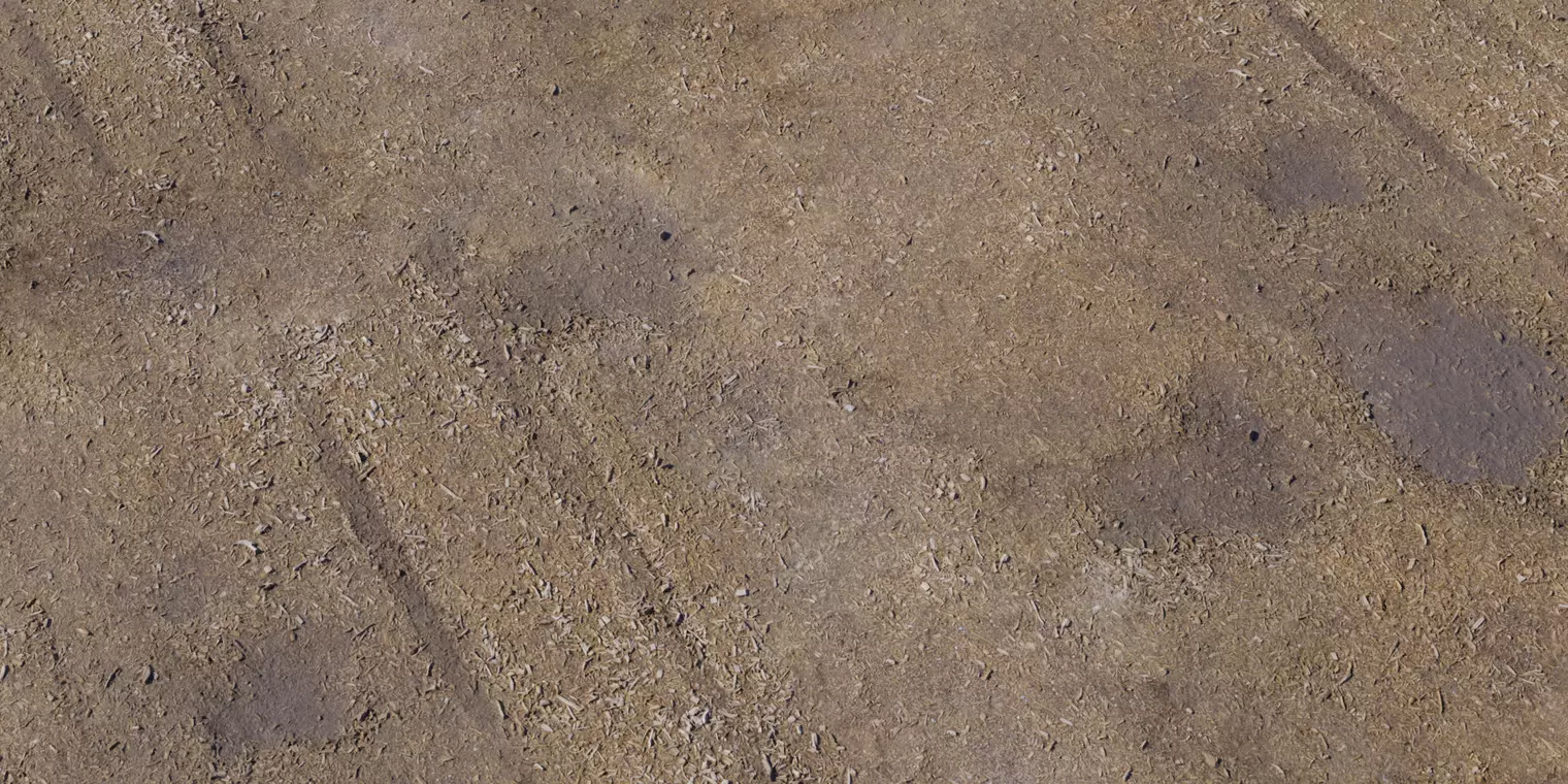 Sawdust Covered Workshop Floor Texture Texture_1