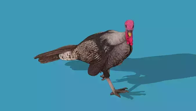 Turkey