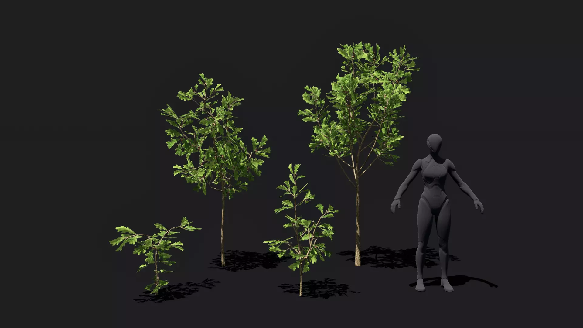 Game ready Oak Saplings Low-poly 3D model_0