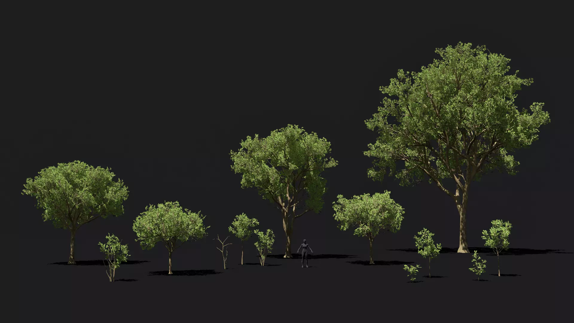 Game ready forest pack of 13 Oak trees assets Low-poly 3D model