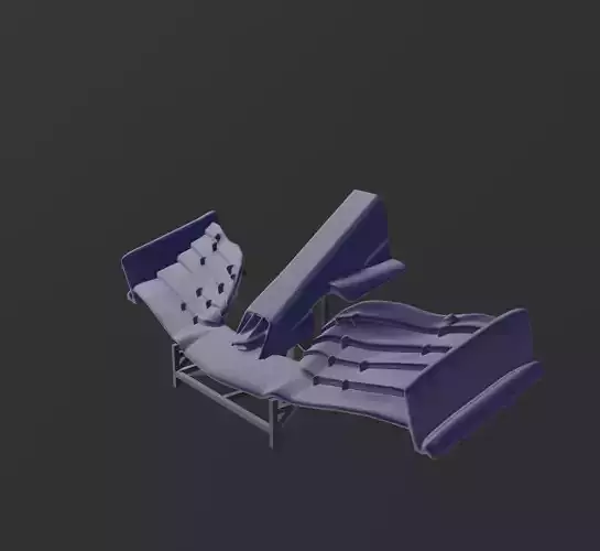 RB 16B nose  and wing