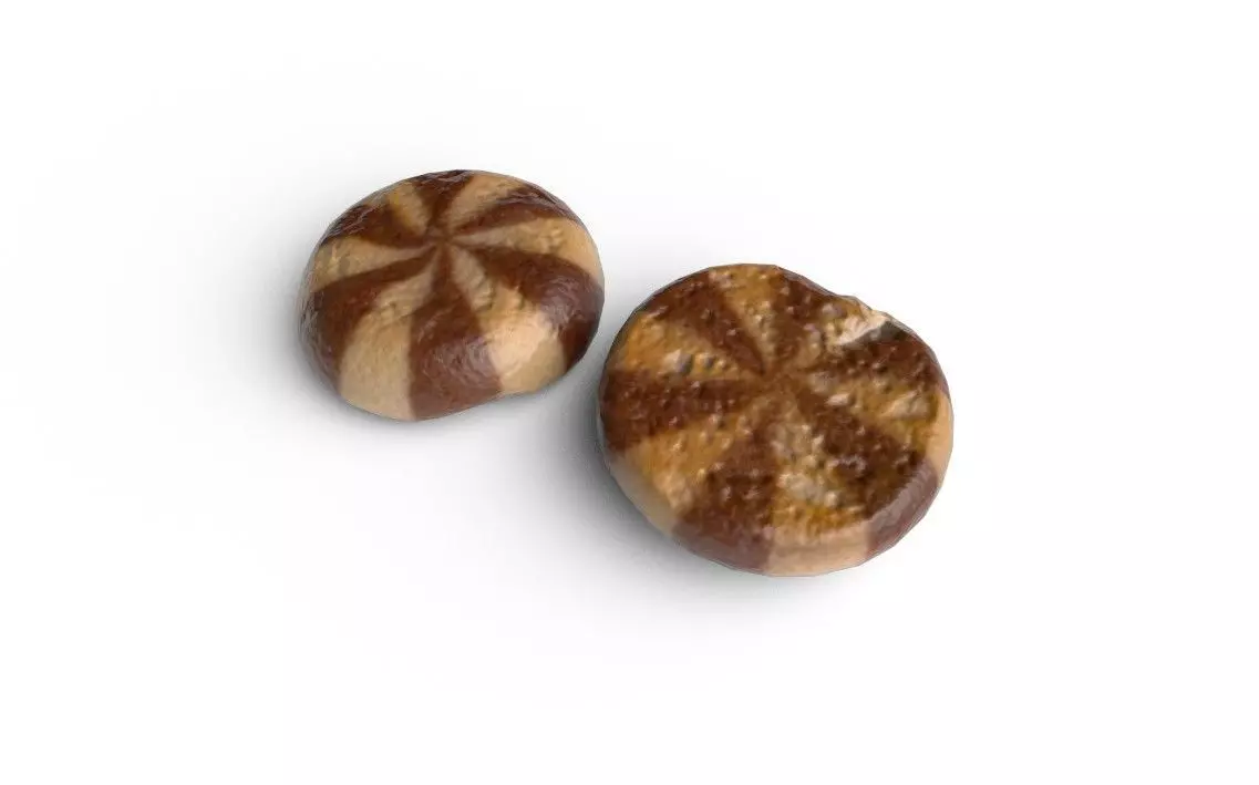 Biscuit M05 Low-poly 3D model_3