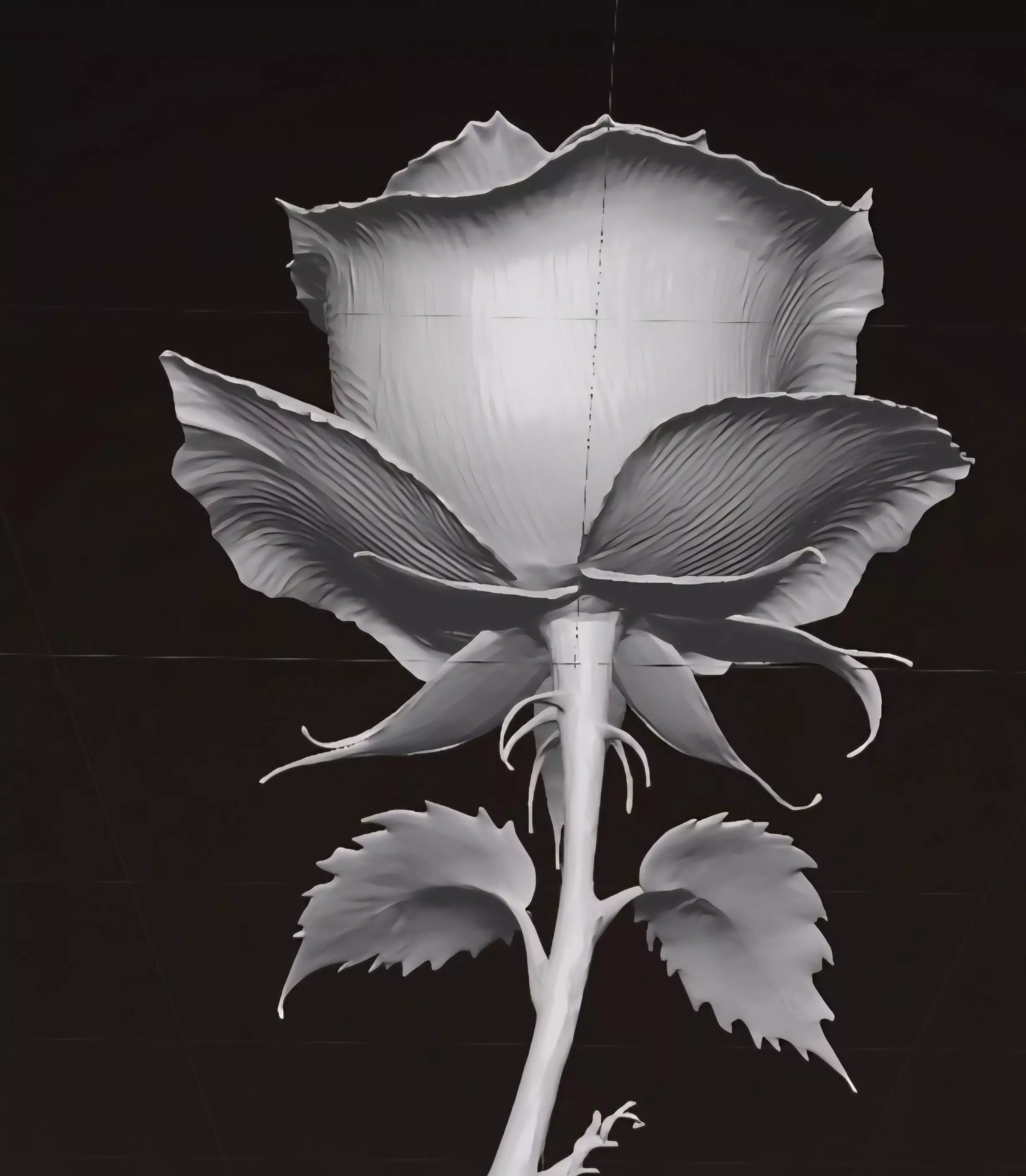 Rose Flower 3D Model 3D print model_3