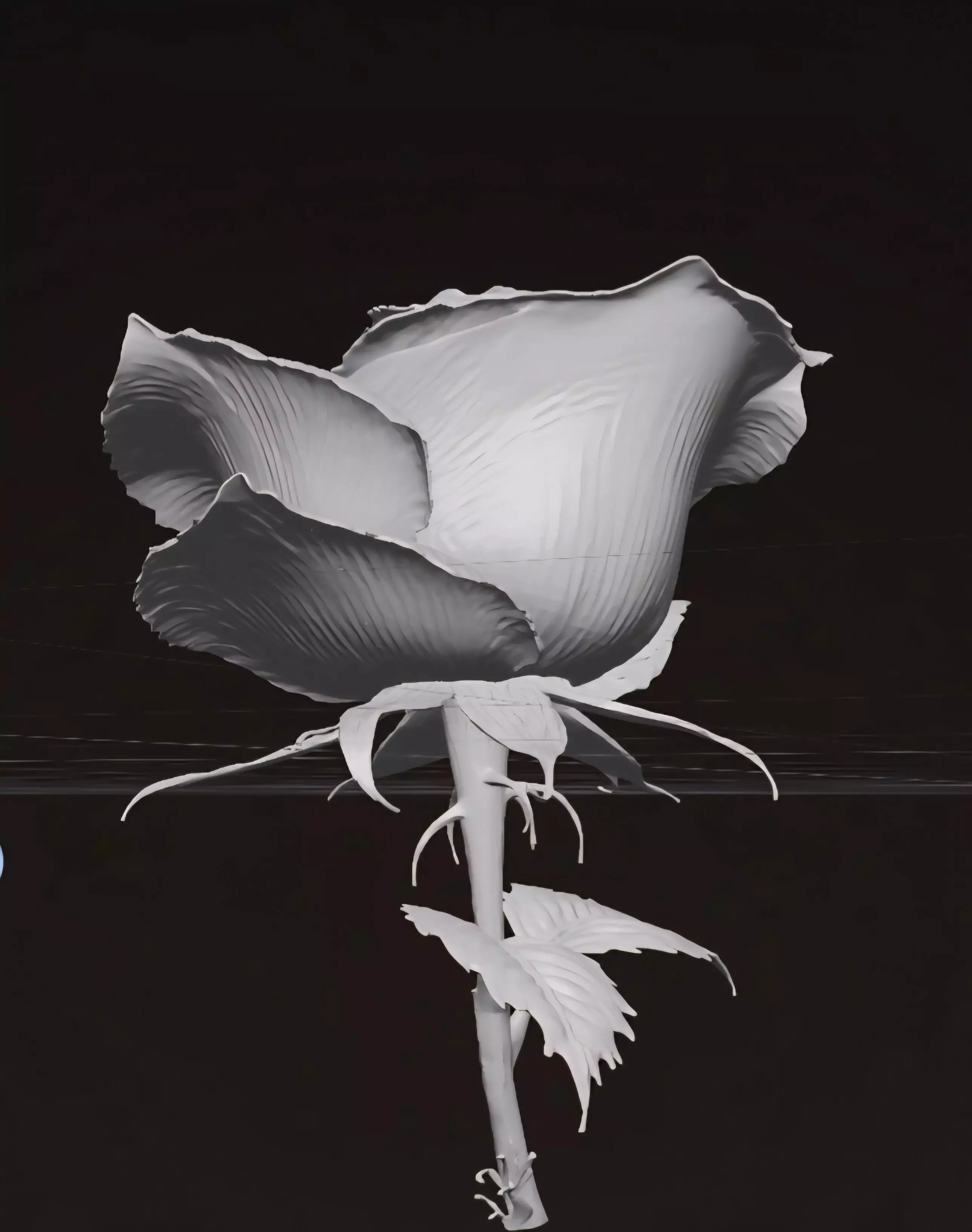 Rose Flower 3D Model 3D print model_4