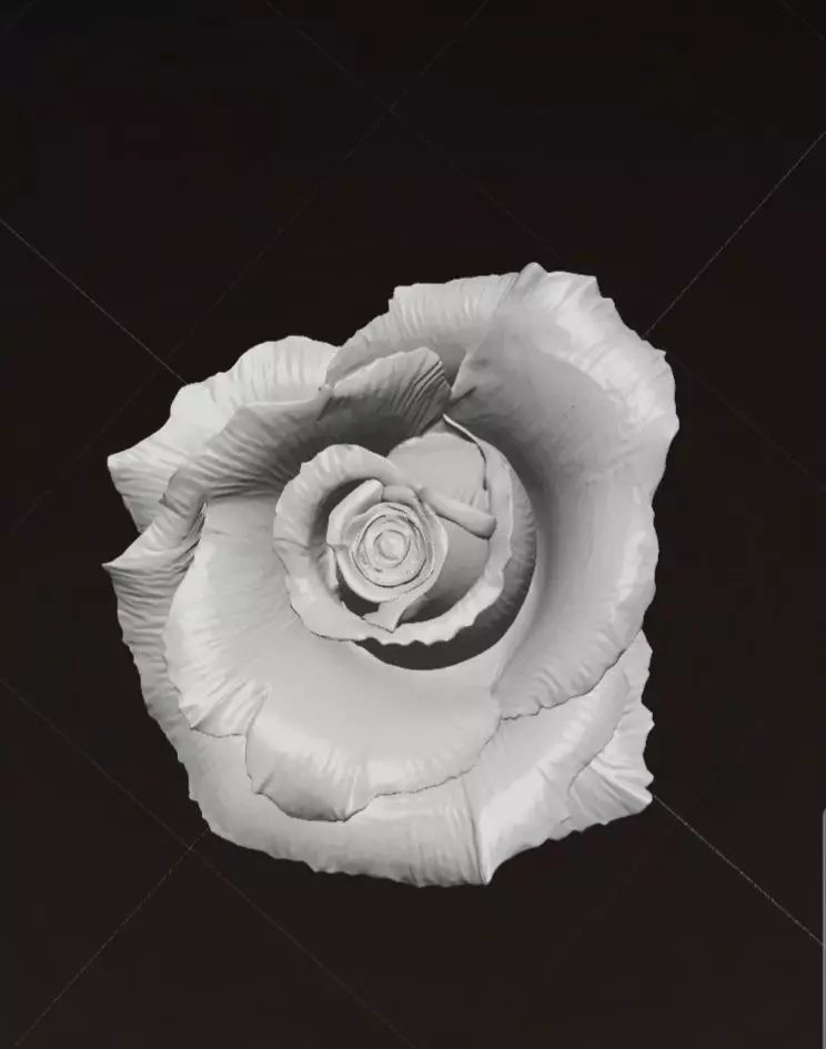 Rose Flower 3D Model 3D print model_5