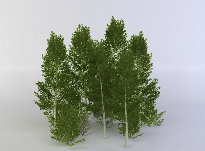 Grove01 3D Model spruce trees Low-poly 3D model