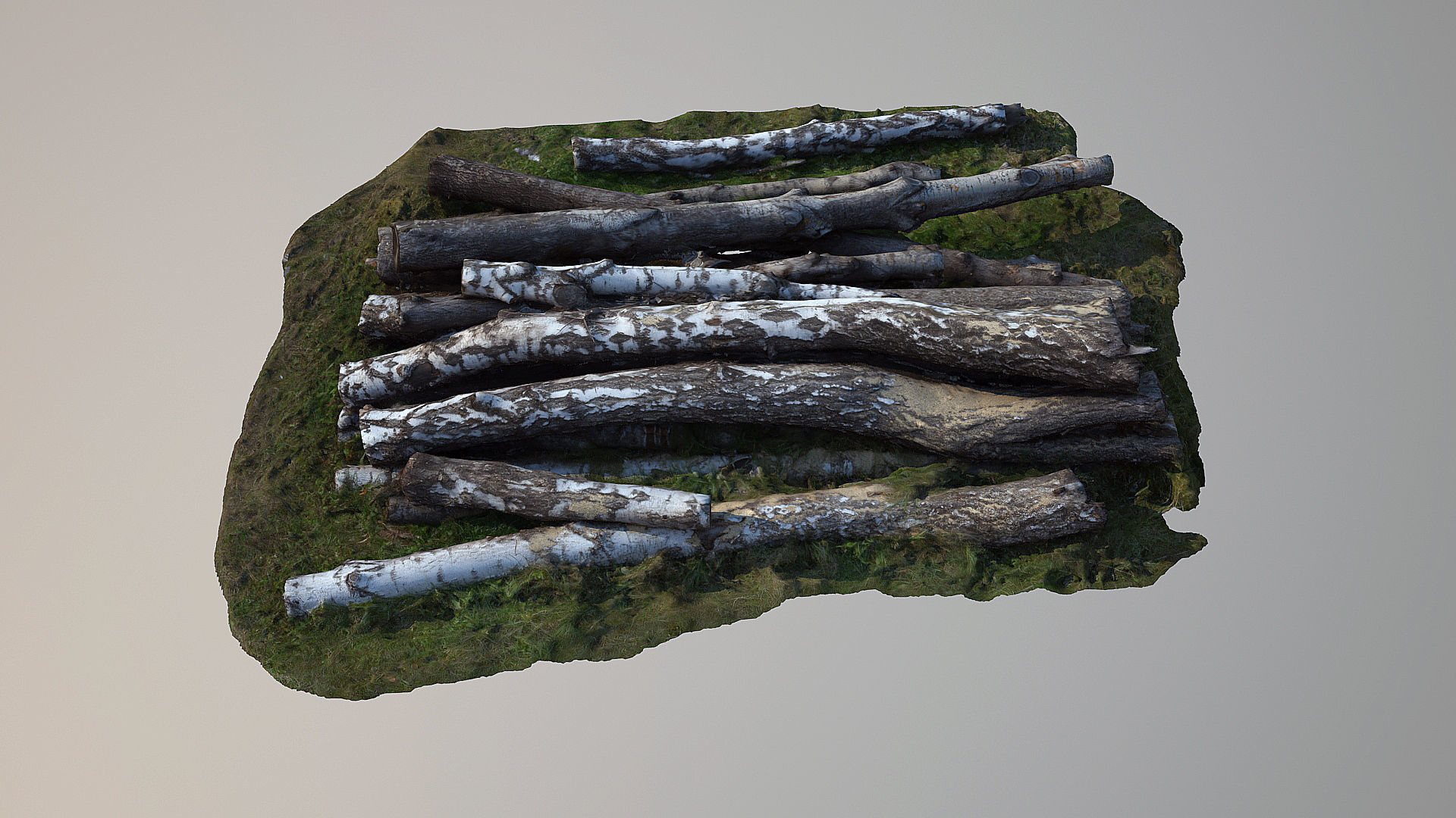 Logs and lumber 3D model_6