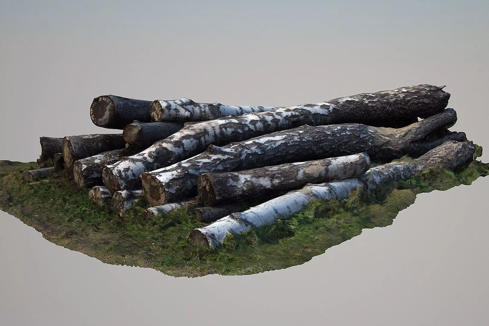 Logs and lumber 3D model_0