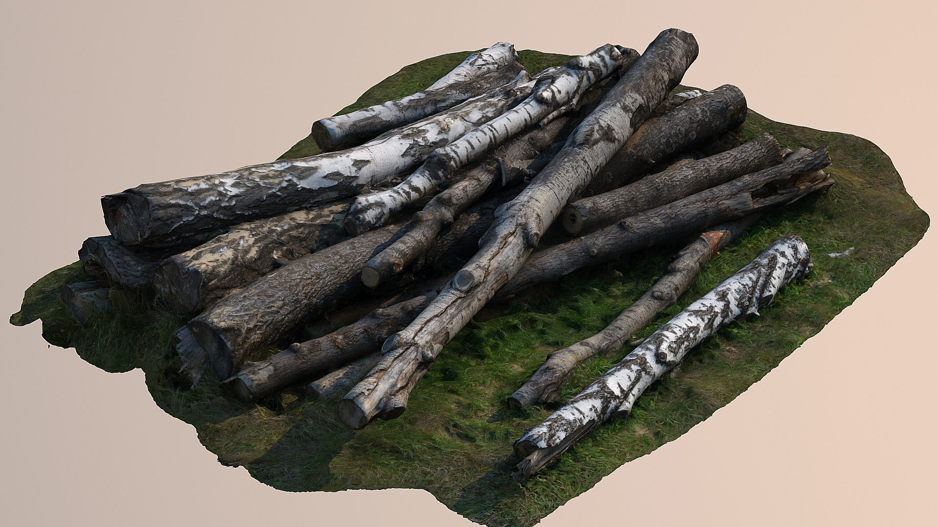Logs and lumber 3D model_4
