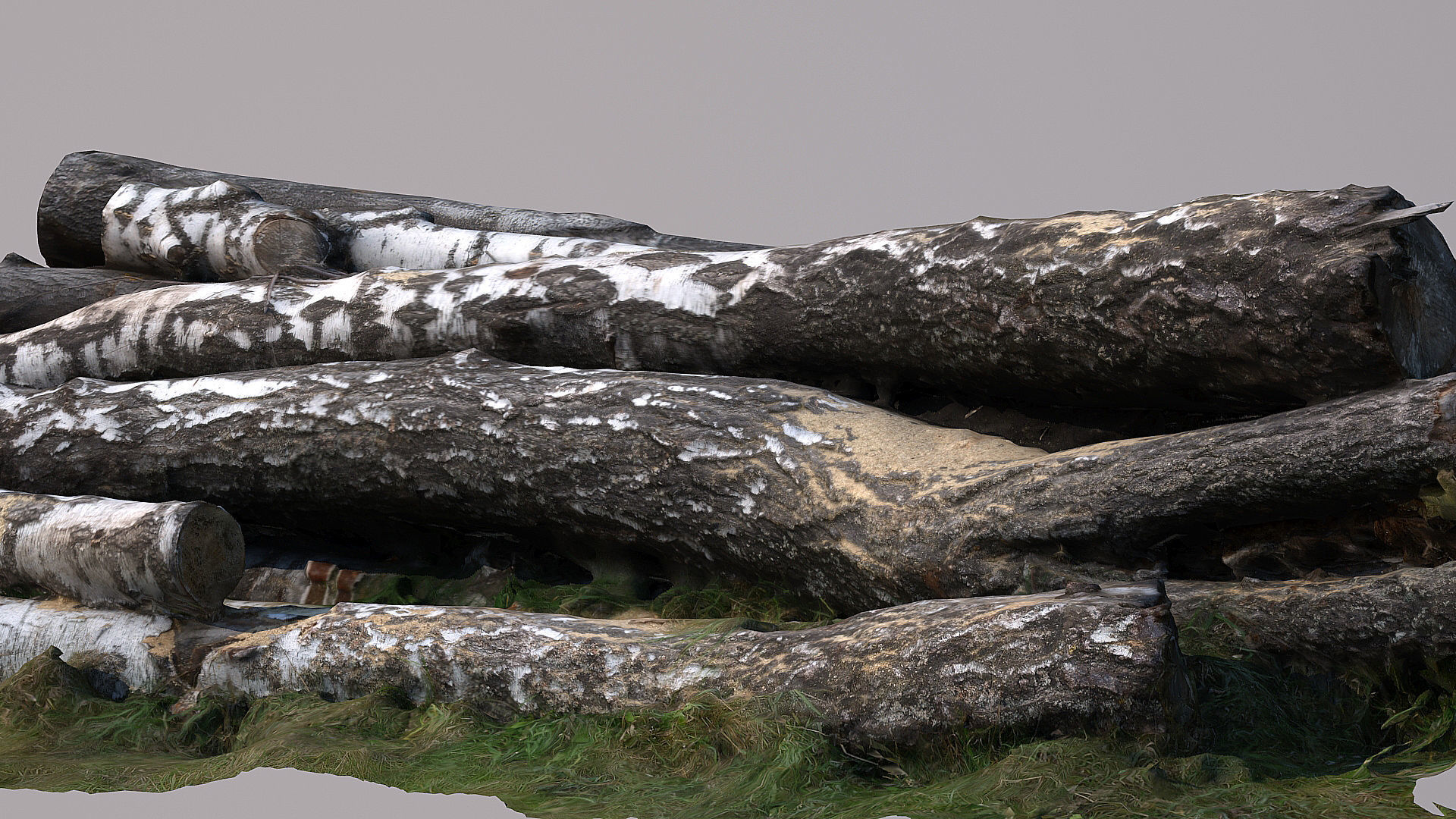 Logs and lumber 3D model_1
