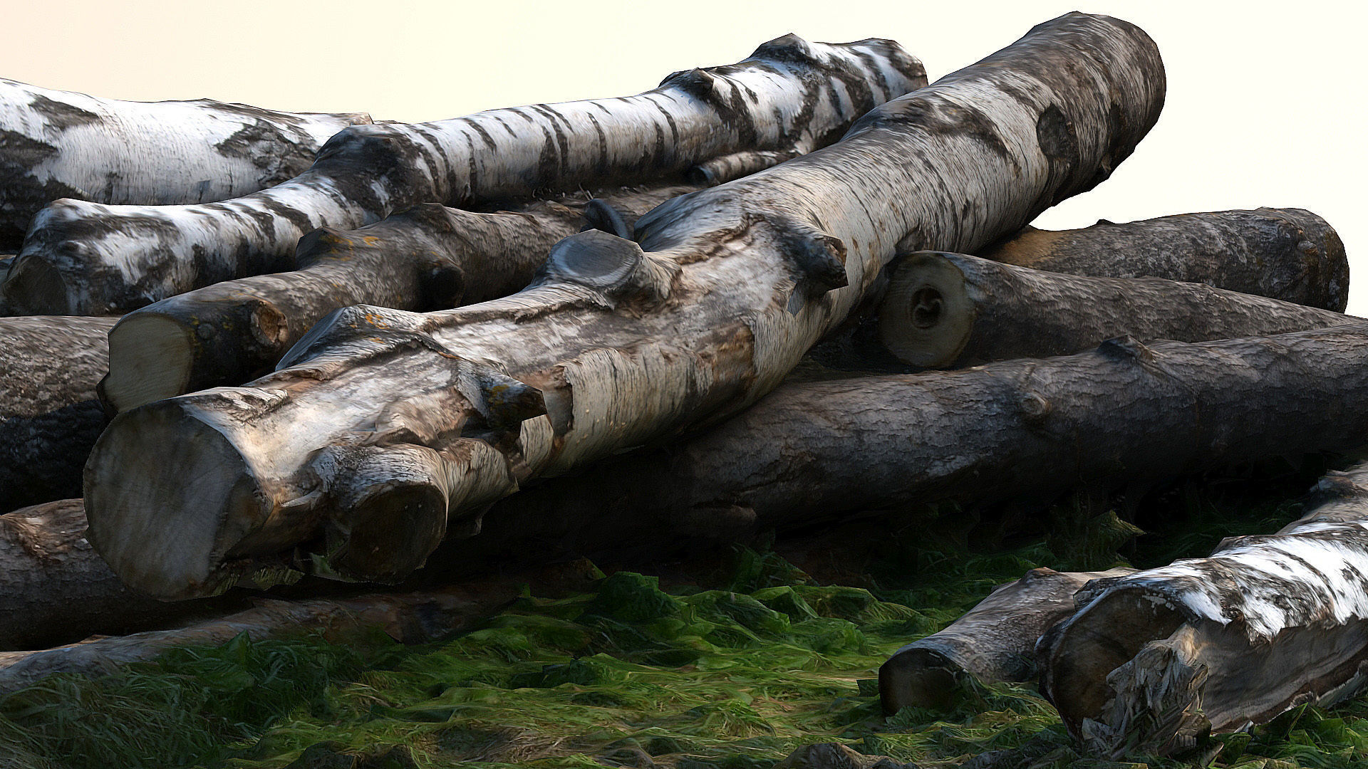 Logs and lumber 3D model_2