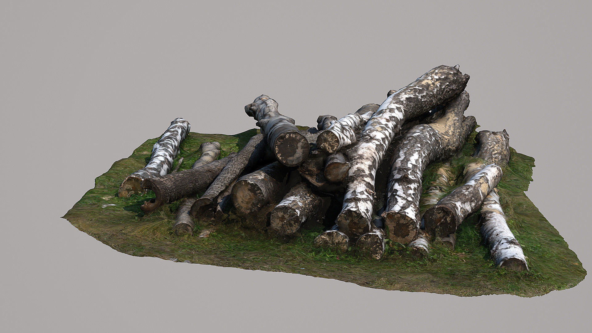 Logs and lumber 3D model_3