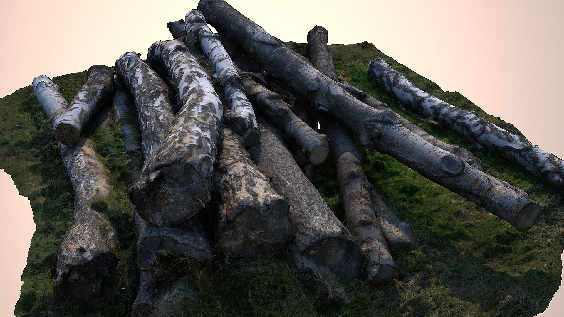 Logs and lumber 3D model_5