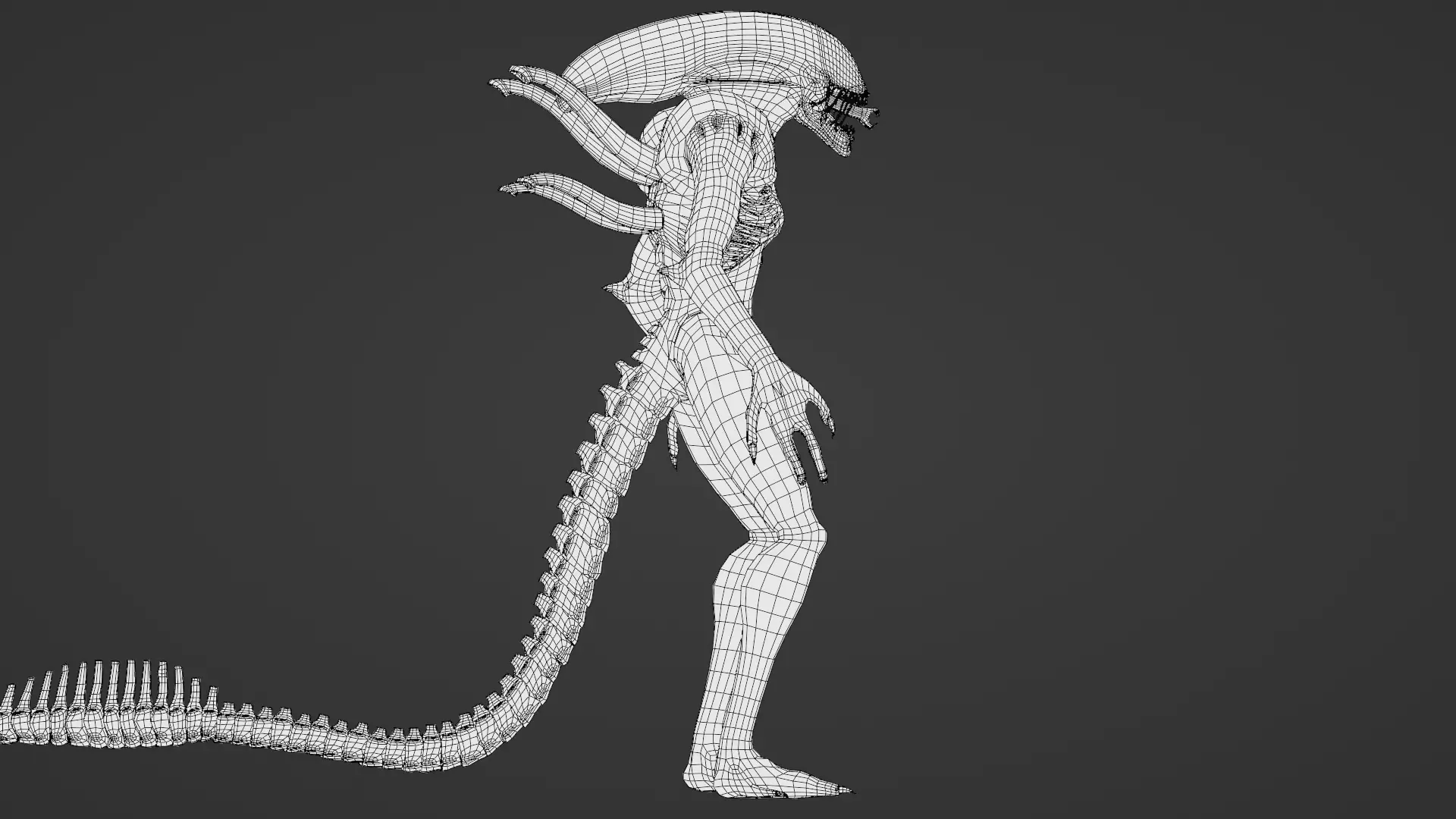 Xenomorph 3D Model Sci-Fi Horror Rigged Game-Ready Low-poly 3D model_32