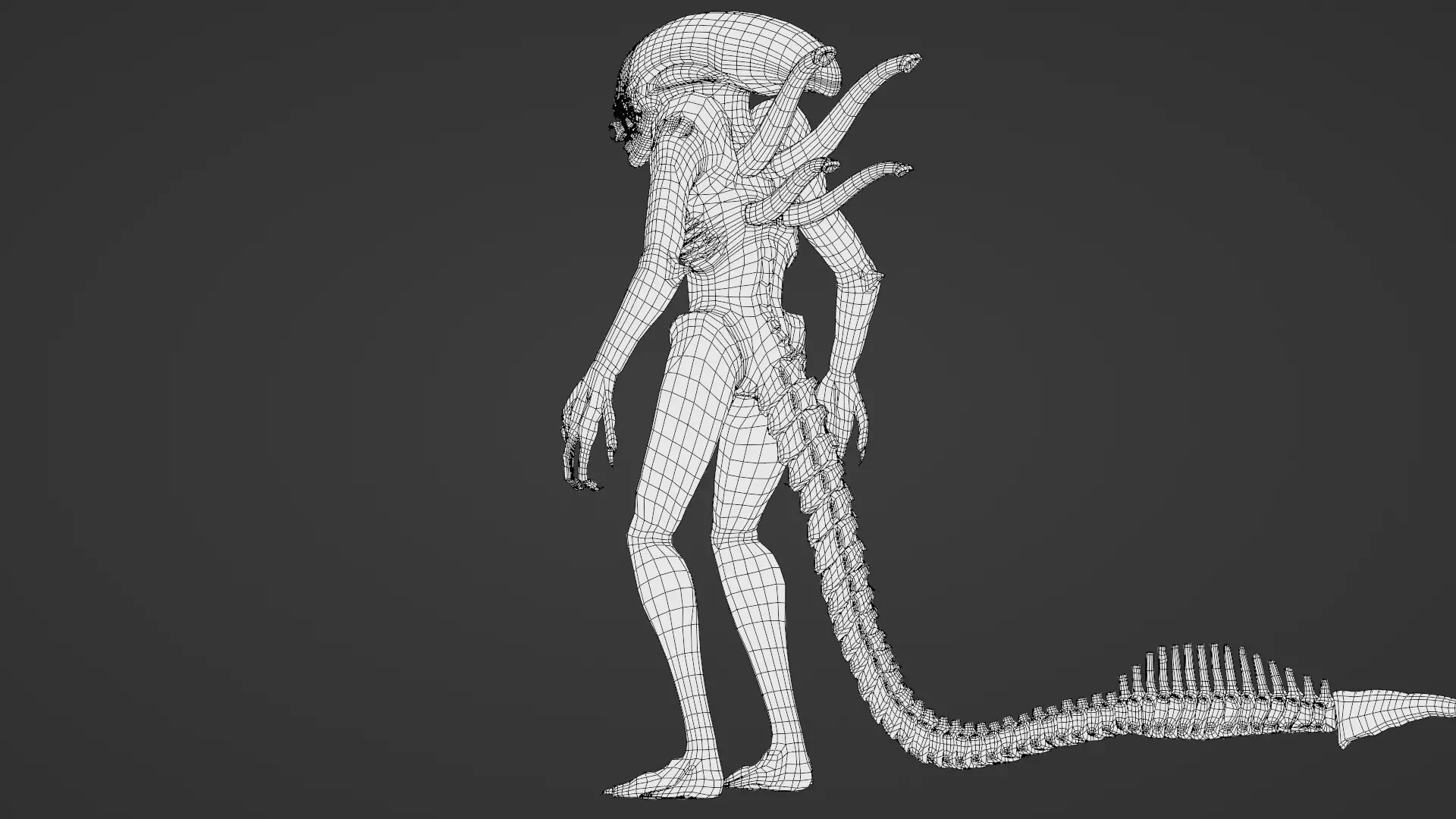 Xenomorph 3D Model Sci-Fi Horror Rigged Game-Ready Low-poly 3D model_30