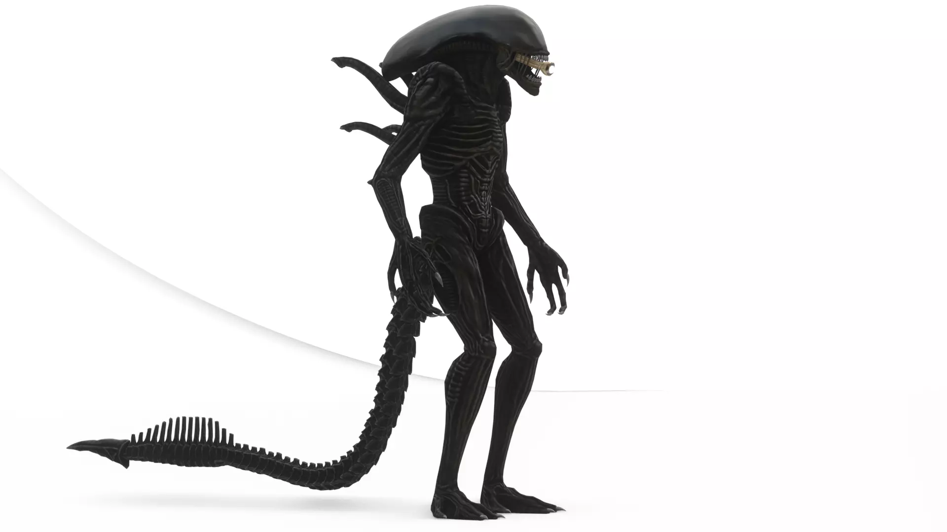 Xenomorph 3D Model Sci-Fi Horror Rigged Game-Ready Low-poly 3D model_10