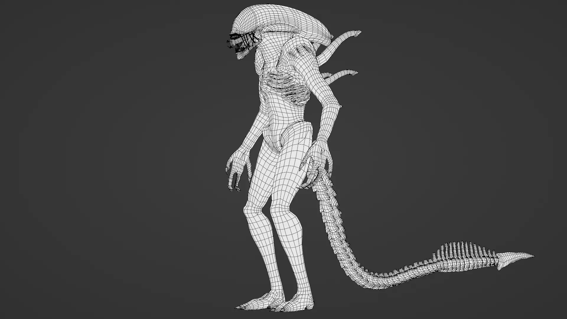 Xenomorph 3D Model Sci-Fi Horror Rigged Game-Ready Low-poly 3D model_29