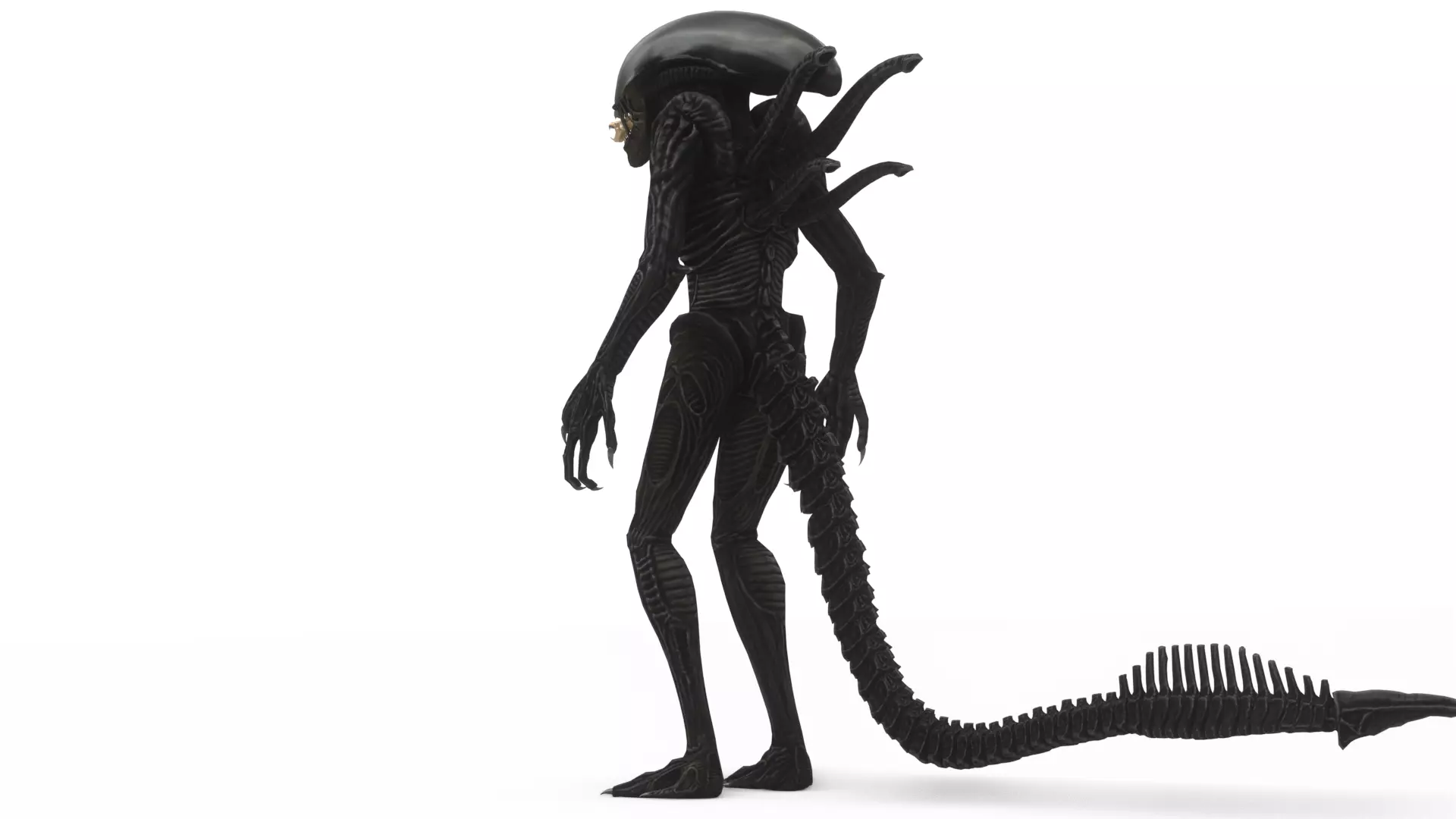Xenomorph 3D Model Sci-Fi Horror Rigged Game-Ready Low-poly 3D model_7
