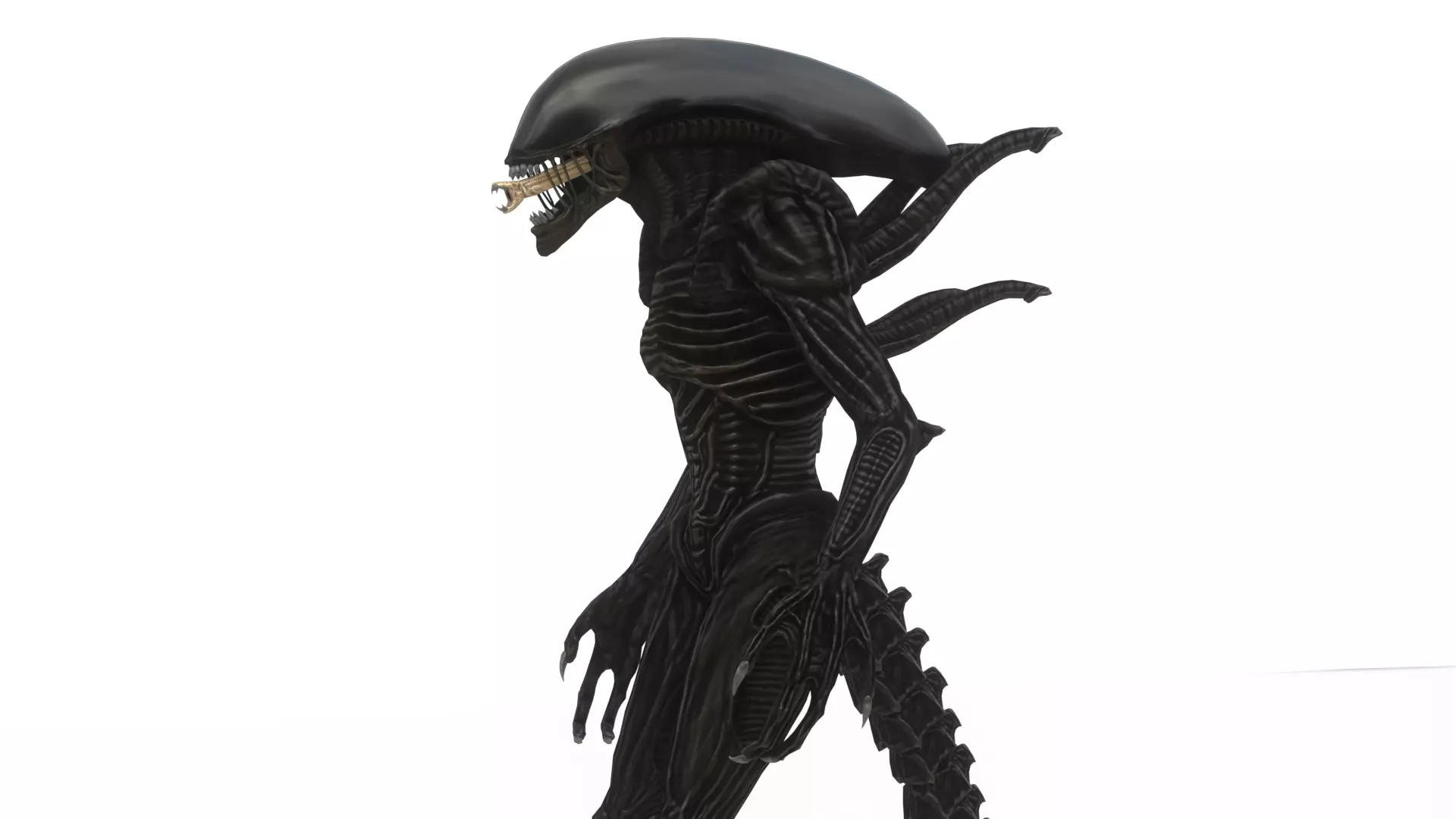 Xenomorph 3D Model Sci-Fi Horror Rigged Game-Ready Low-poly 3D model_11