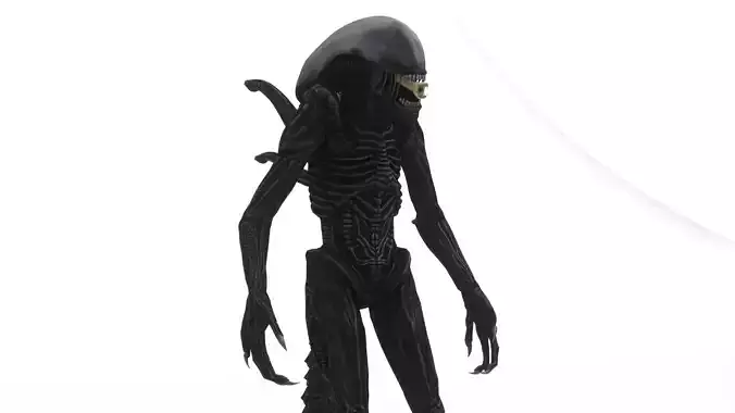 Xenomorph 3D Model Sci-Fi Horror Rigged Game-Ready Low-poly 3D model Xenomorph 3D Model Sci-Fi Horror Rigged Game-Ready Low-poly 3D model