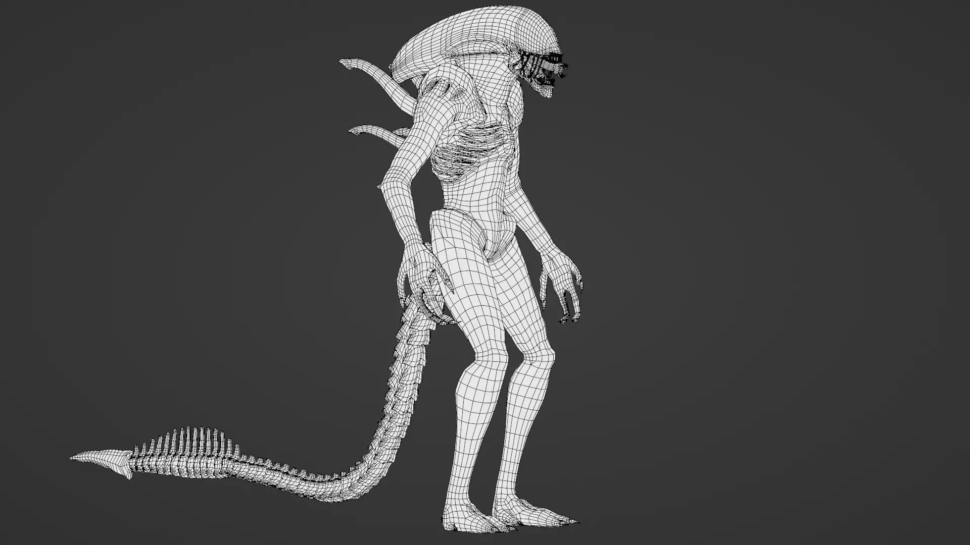 Xenomorph 3D Model Sci-Fi Horror Rigged Game-Ready Low-poly 3D model_33