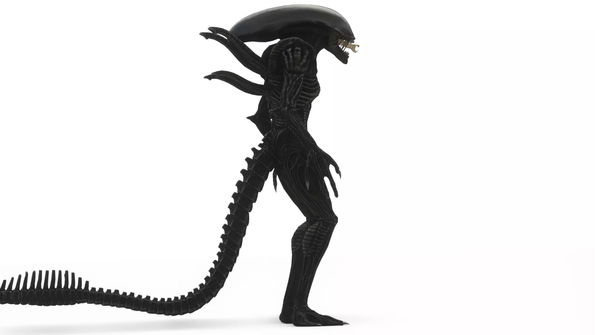 Xenomorph 3D Model Sci-Fi Horror Rigged Game-Ready Low-poly 3D model_9